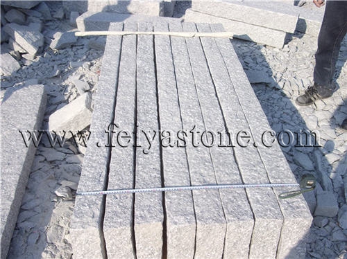 paving stone